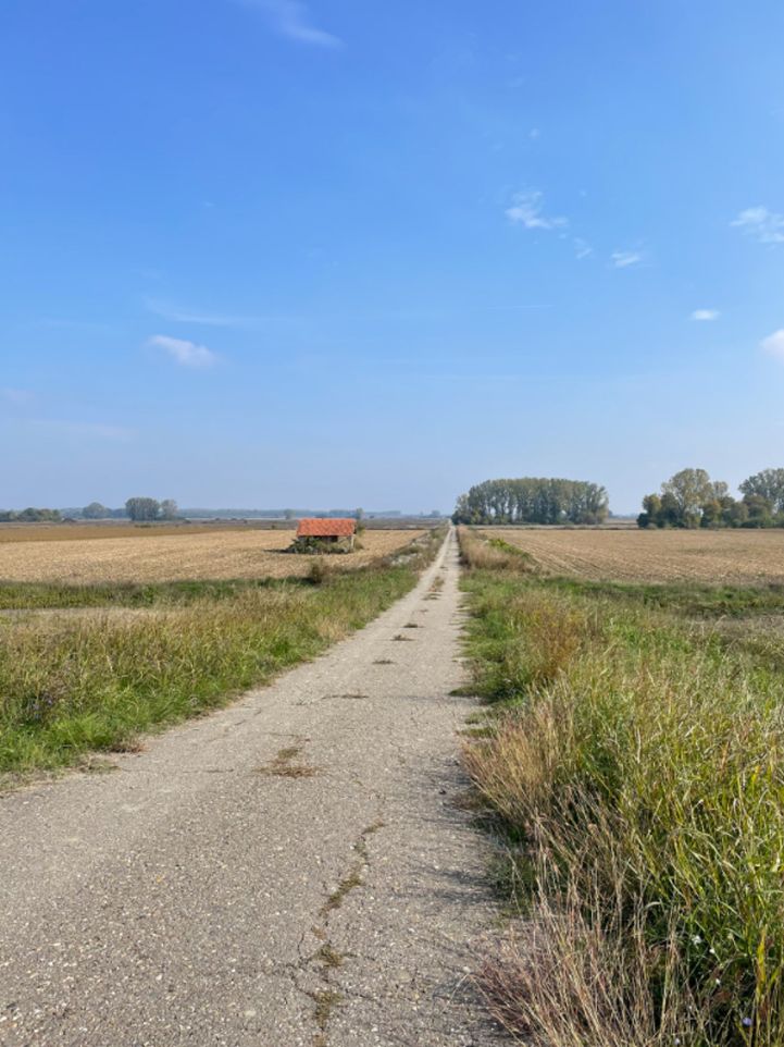 Der Morgenverkehr