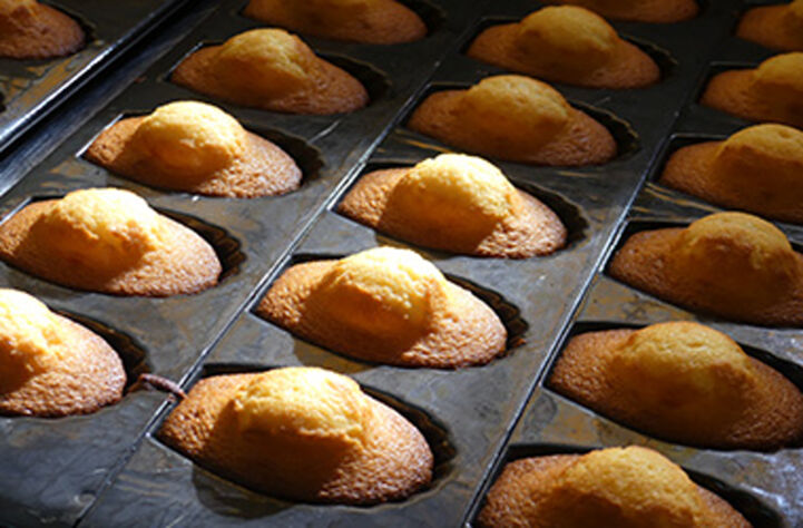 Madeleine