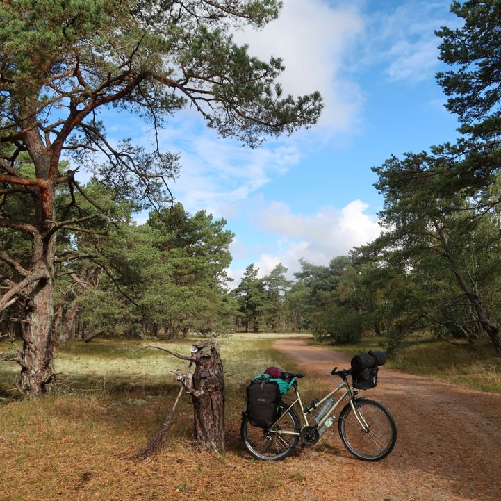 Passage through the forest, Sweden - EuroVelo 10 - Baltic Sea Cycle Route