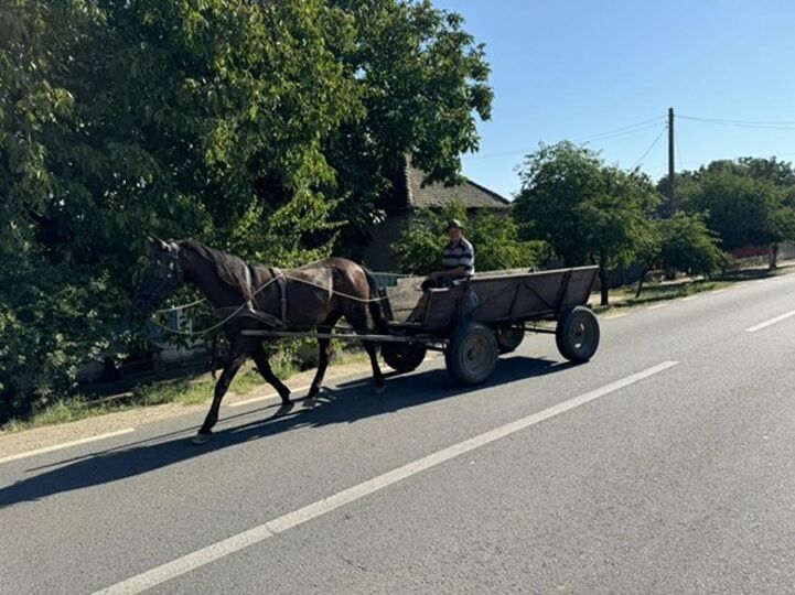 There are a lot of horse-drawn carts on the road.