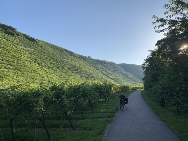 Alongside the Neckar and the flourishing grapevines