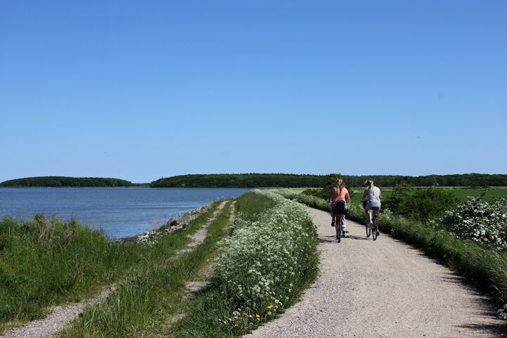 Nakskov Fjord, Denmark © Naturlandet