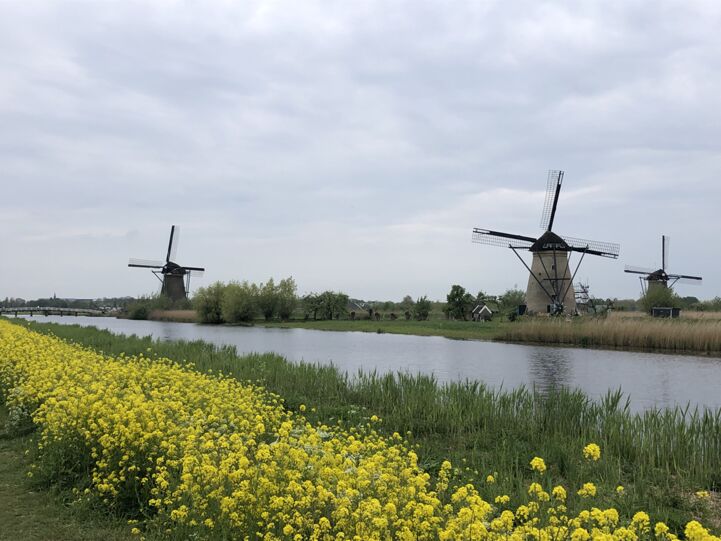 Kinderdijk windmills