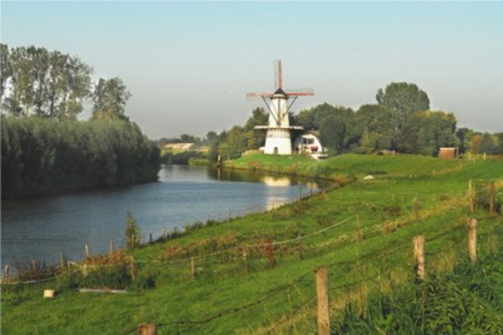 Spring Fever along the EuroVelo 15 – Rhine Cycle Route 2.jpg
