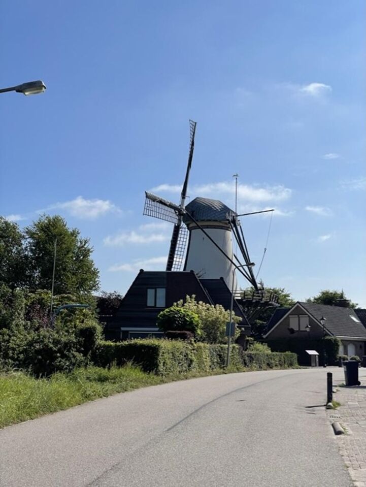 Beautiful roads, blue skies and windmills... What's not to like?