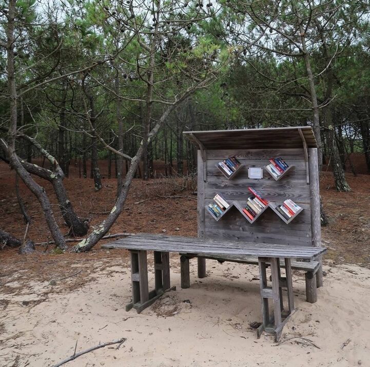 A middle-of-nowhere beach library!