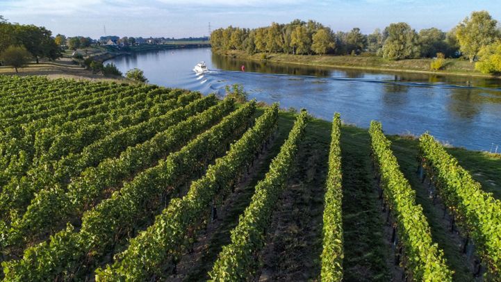 Aldeyneck wine estate © Luc Daelemans