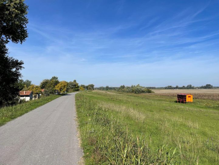 Die alten wagen die als bienen houser dienen