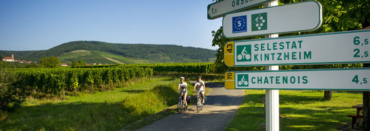 EuroVelo in Alsace