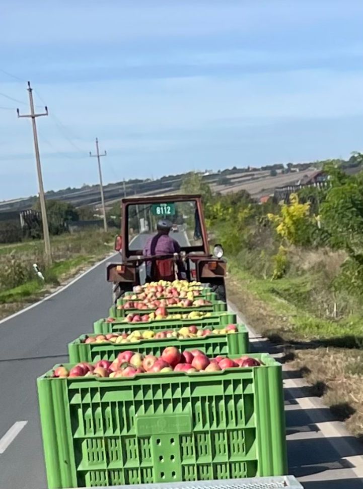 Moment de la récolte !