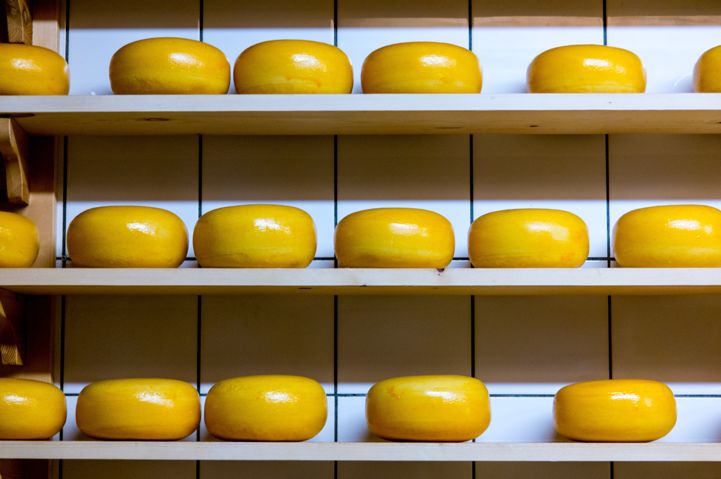 Gouda, cheese from the Netherlands