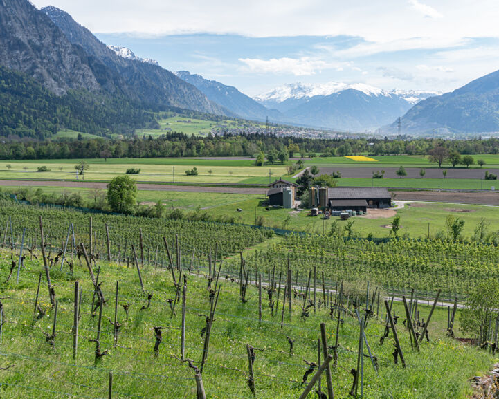 The views on EuroVelo 15 In Switzerland.