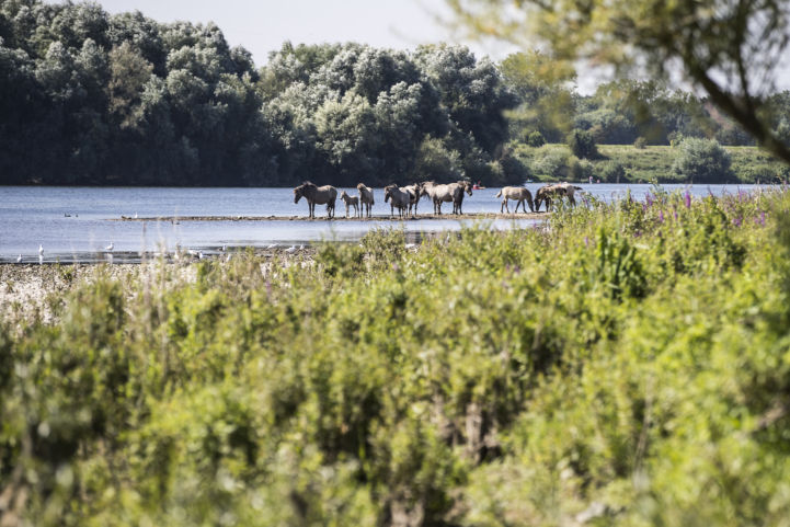 Rivierpark Maasvallei in Limburg, Netherlands