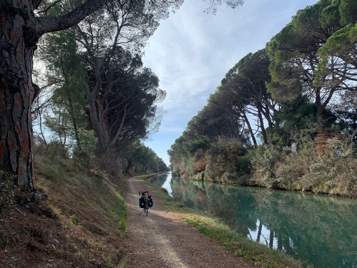 Along the Canal du Midi near Carcassonne on a sunny January day.