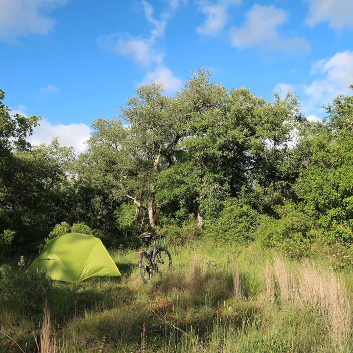 Wild camping is as easier than pie