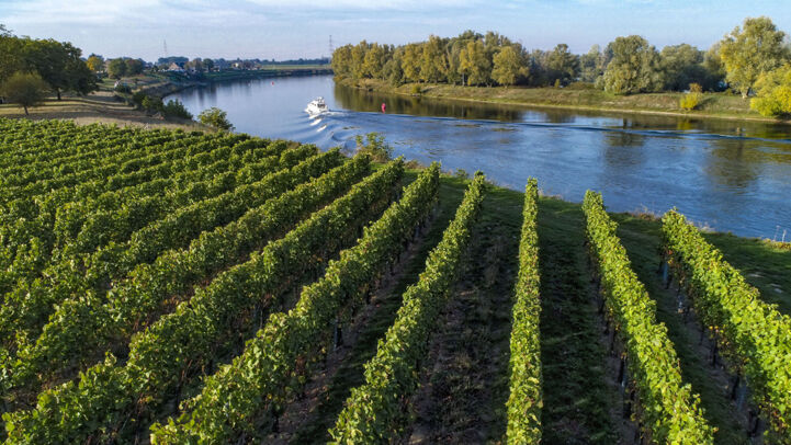 EuroVelo 19 also passes through vineyards and local wineries in the Belgian Limburg.
