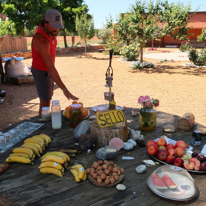 A real oasis. A local is showing me all the free fruits and snacks he provides